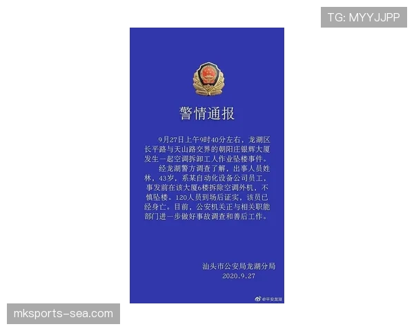 外物入场判罚规则拆解：何时停止比赛，如何判定责任？